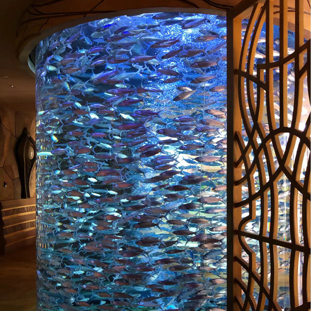 DMM Kariyushi水族館～迷人海洋世界