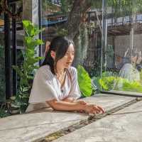 ELEMENT’s - คาเฟ่อำเภอพิบูลมังสาหาร