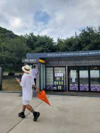 폭포랑 출렁다리 선녀탕까지 볼수 있는곳💚