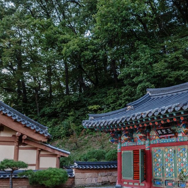 따뜻함과 아름다움이 느껴지는
