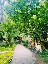 【神奈川県/北鎌倉　秋の明月院も趣がある庭園や風景を堪能できてオススメ！】