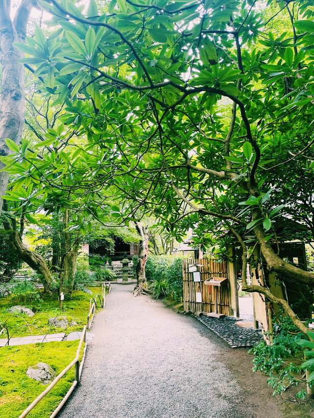【神奈川県/北鎌倉　秋の明月院も趣がある庭園や風景を堪能できてオススメ！】