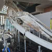市立下關水族館-海響館