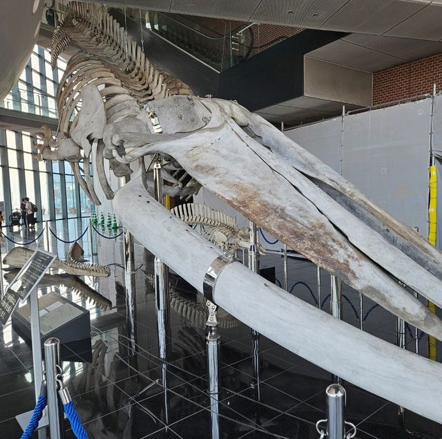 市立下關水族館-海響館