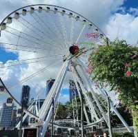 Day trip CBD Brisbane