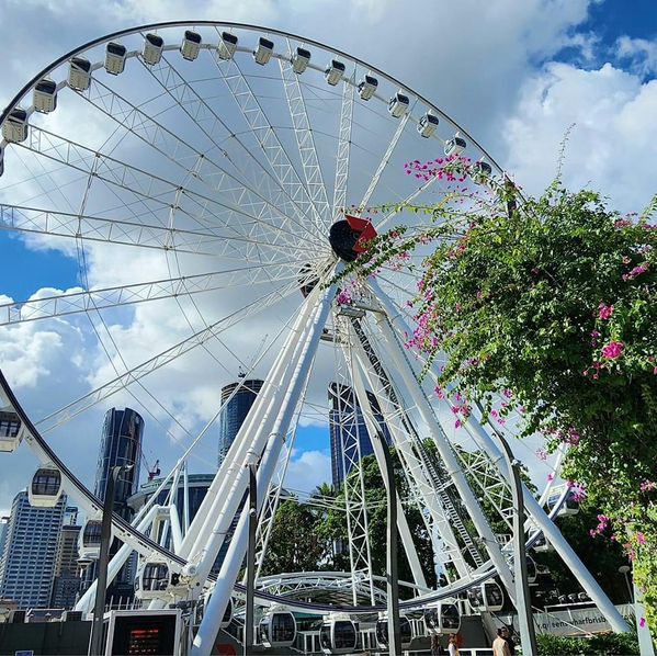 Day trip CBD Brisbane