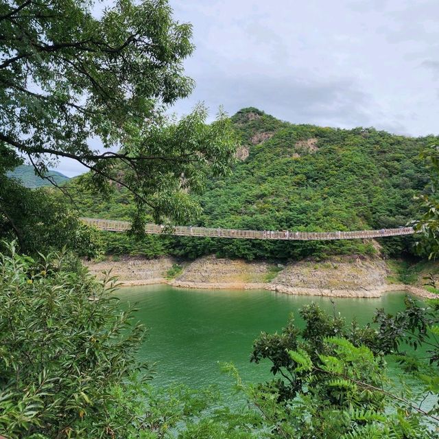 역대 최고의 흔들림, 제천 옥순봉 출렁다리
