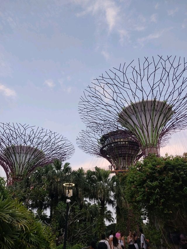 Bunga besar di tengah bandar
