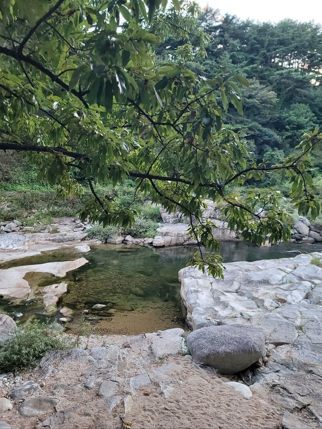 발 담그고 힐링하는 거창 물놀이카페🩵