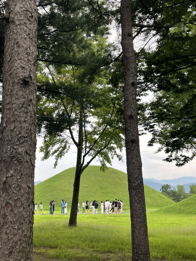 경주여행 2박3일 일정 공유