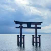 白鬚神社 水上鳥居