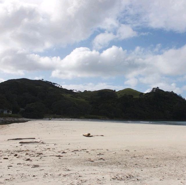New Chums Beach