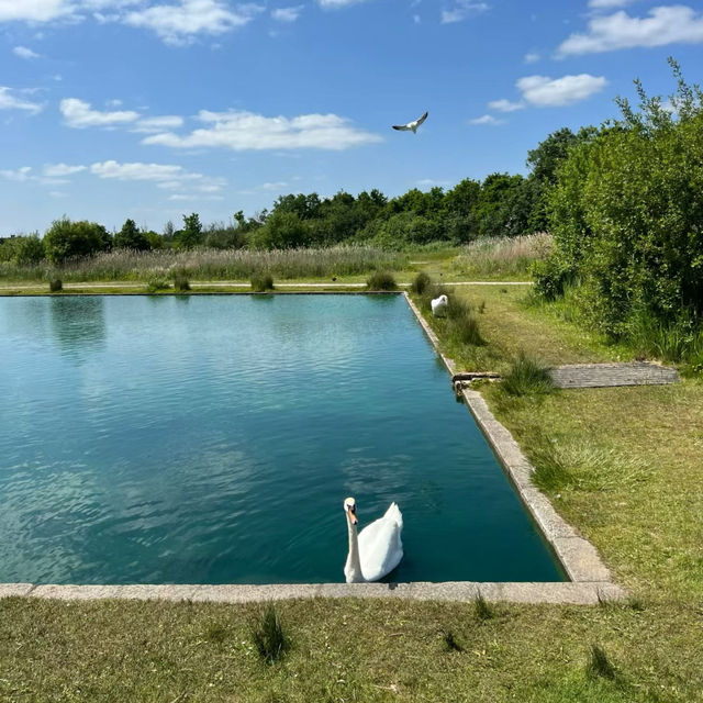 Cranford Country Park：放空心靈🌳🌼