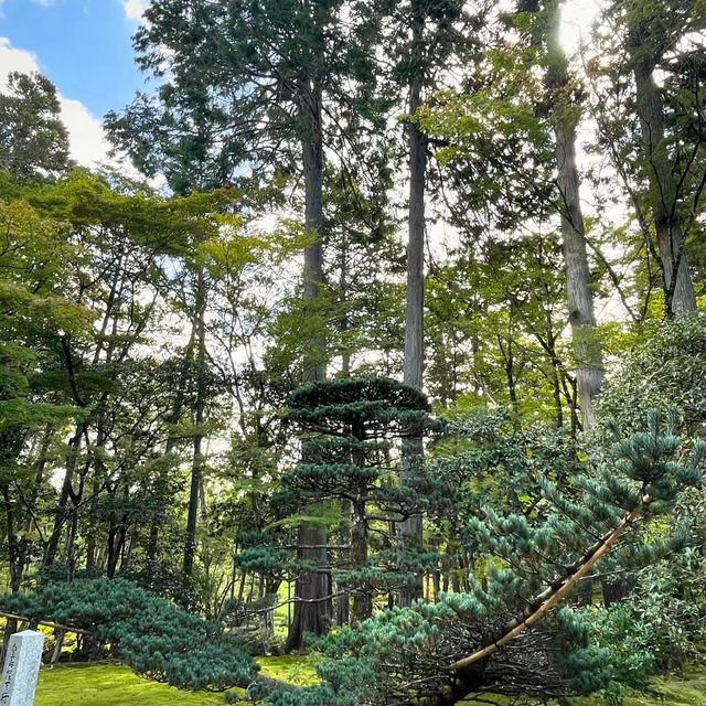 麻生不動院：小橋流水中的日式韻味 🌸🏯