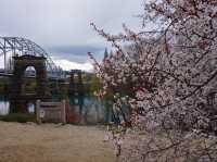 Old and new bridges that cross the Clutha River