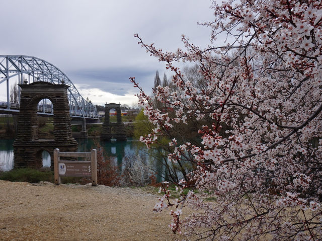 Old and new bridges that cross the Clutha River