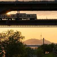 Seoul, the Vibrant Heart of Asia: A 5-Day Adventure