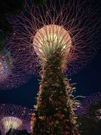 Gardens by the Bay Light Show 🇸🇬 
