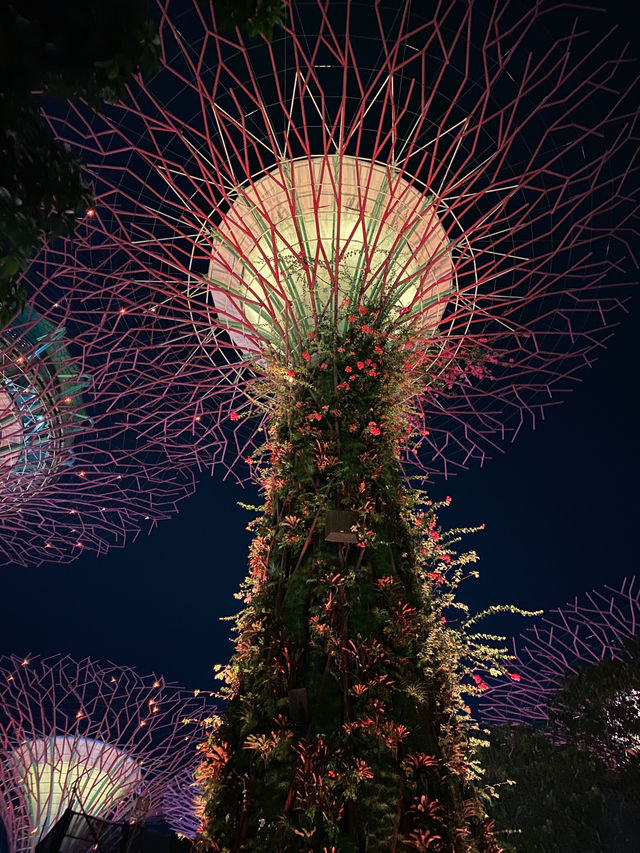 Gardens by the Bay Light Show 🇸🇬 