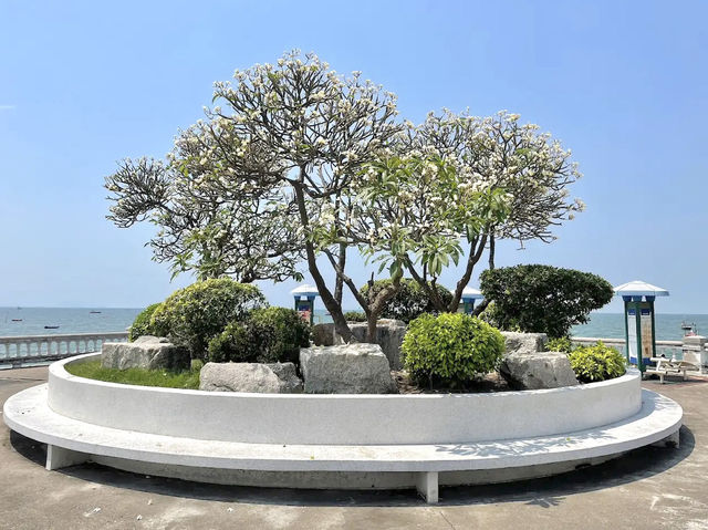 “หาดวอนนภา” ทะเลสวยใกล้กรุงเทพ