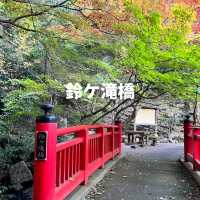 【愛知】豊田のパワースポット猿投温泉