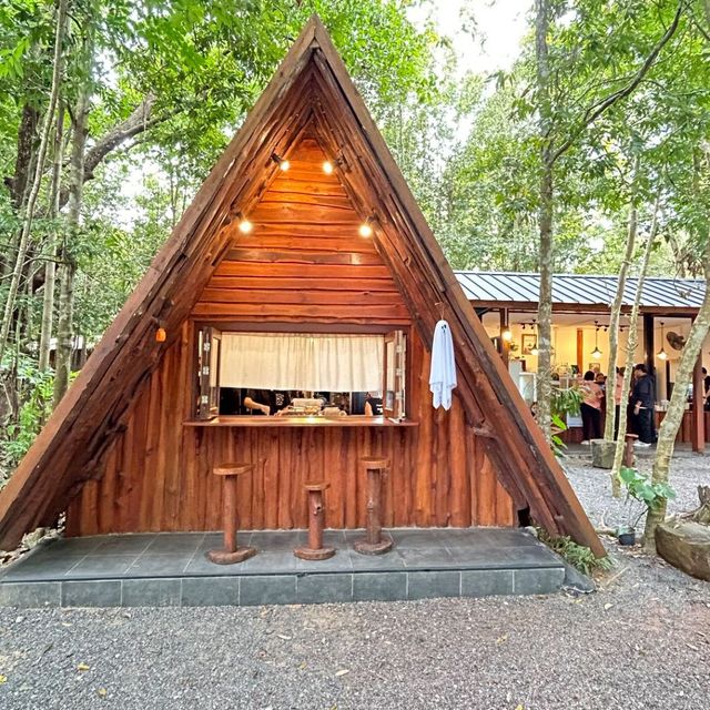  Into  the  wild คาเฟ่กลางป่า มีน้ำตกไหลผ่าน