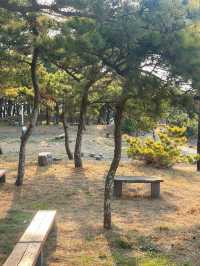 제주도 한적한 바다 ‘하모해수욕장’