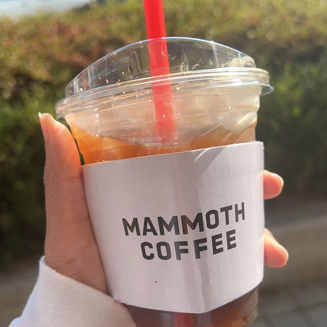 1200원 매머드 커피