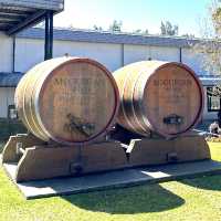  McGuigan Wines Cellar Door：亨特谷的葡萄酒體驗 🍷🌿