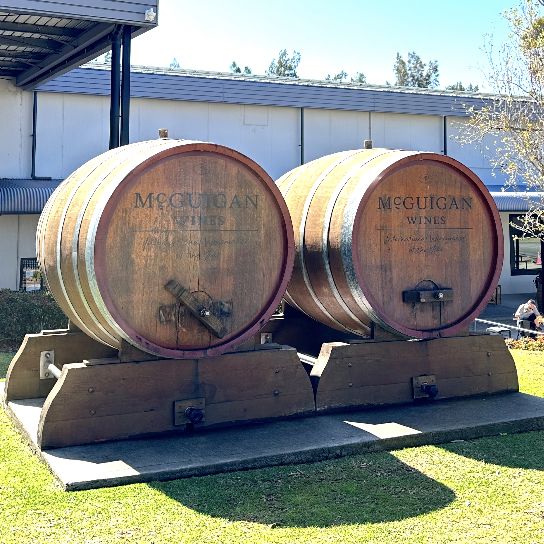  McGuigan Wines Cellar Door：亨特谷的葡萄酒體驗 🍷🌿