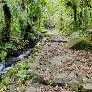 Mount Gede Pangrango National Park