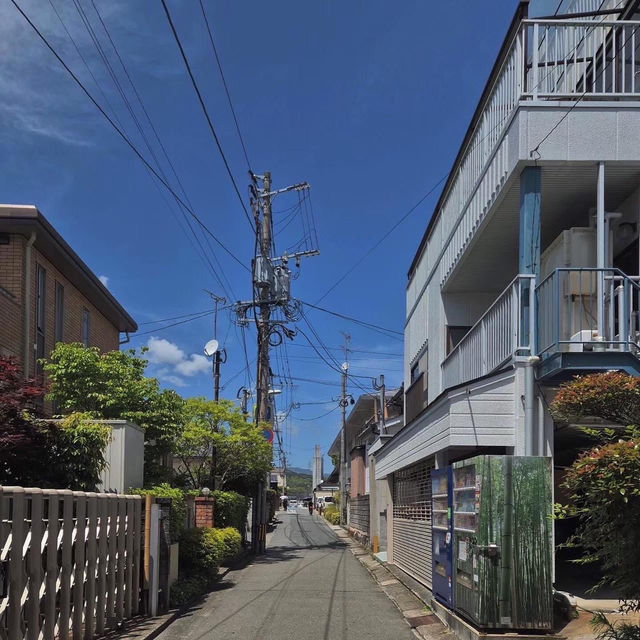 Daizaifu ⛩️ …เมืองฟุกุโอกะ ญี่ปุ่น ✨🇯🇵