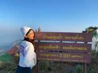ทุ่งหญ้าสีทอง อุทยาแห่งชาติขุนแจ🏔️🍃