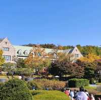 去首爾不能錯過的梨花女子大學銀杏林和紅葉美景