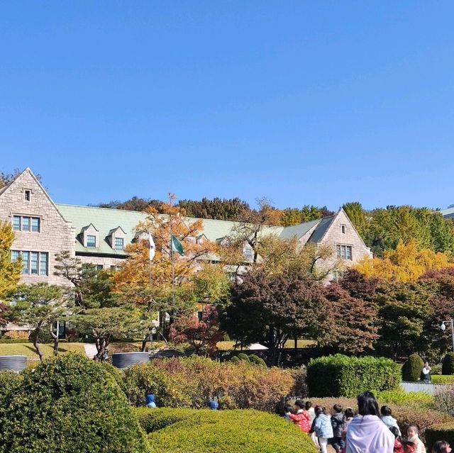 去首爾不能錯過的梨花女子大學銀杏林和紅葉美景