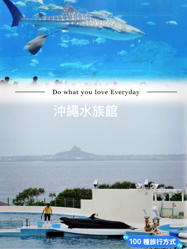 沖繩必去景點～沖繩水族館❤️