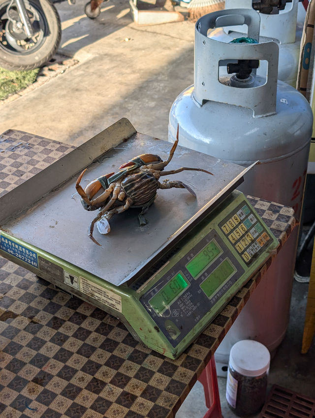 台南安平「阿美深海鮮魚湯」粥裡有蟹🦀！ Holy蟹🦀！