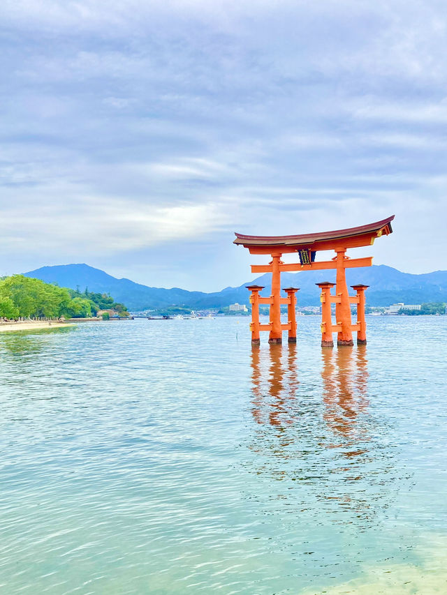 【広島観光】安芸の宮島のベストシーズンすぐそこ❣️