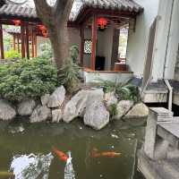 Sydney Chinese Garden of Friendship 