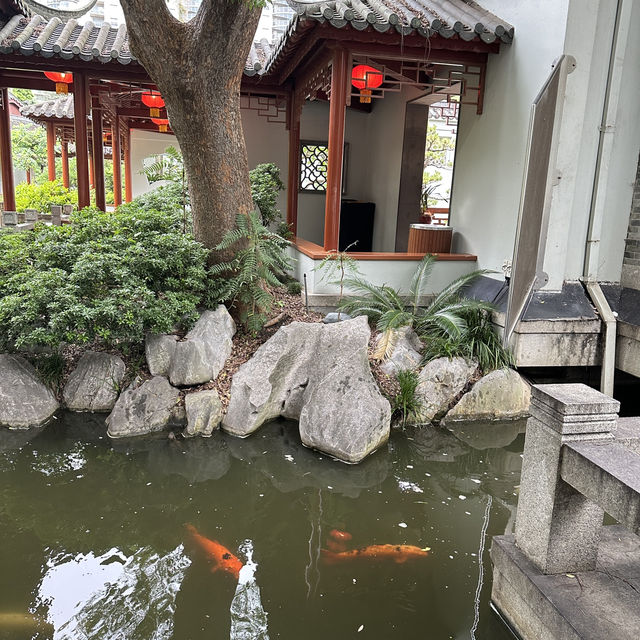 Sydney Chinese Garden of Friendship 