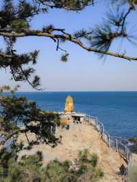 【釜山🇰🇷】海が見える寺院へ