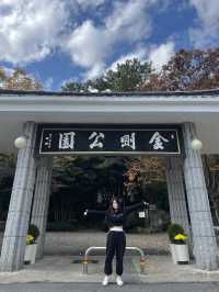 부산 가을여행지는 바로 여기!