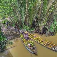 Mekong Delta