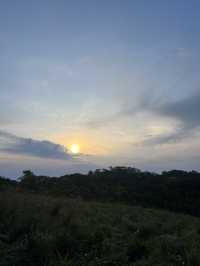 ลานต้นสนเดียว ยอดดอยหลวงตาก