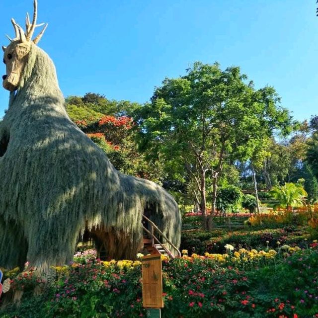 อัพเดท สวนดอกไม้เมืองหนาว ดอยตุง เชียงราย