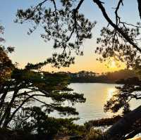 Top 3 views of Japan at Matsushima! 