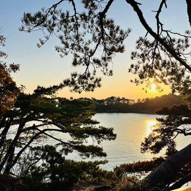 Top 3 views of Japan at Matsushima! 