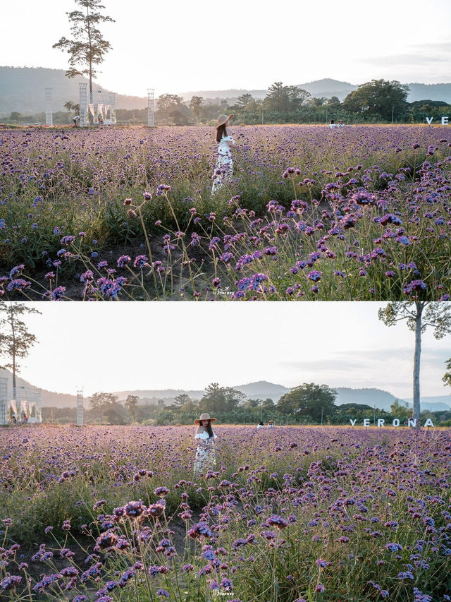 ไปนอนเต็นท์สุดชิค ท่ามกลางขุนเขาและดอกไม้⛺️🌸