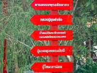 วัดหุบบอนวนาราม | วัดสวย ชลบุรี 🙏