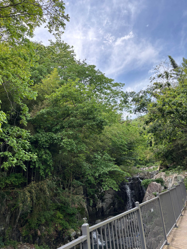 🪄◝₊‧༚부산 기장 대형카페 아뜰리에 은유재